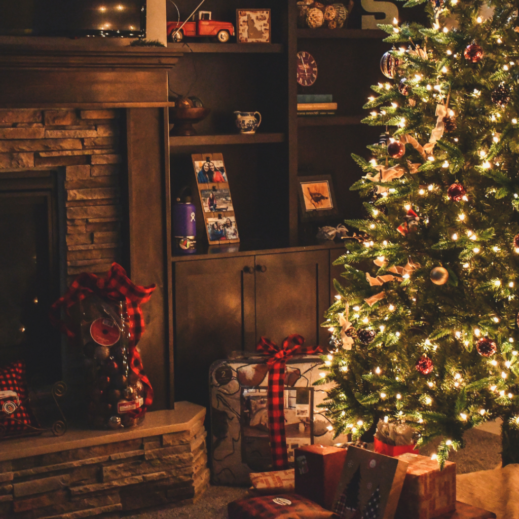 survival guide to christmas