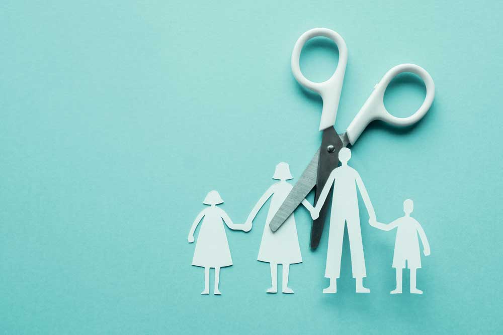 divorce family cut in half
